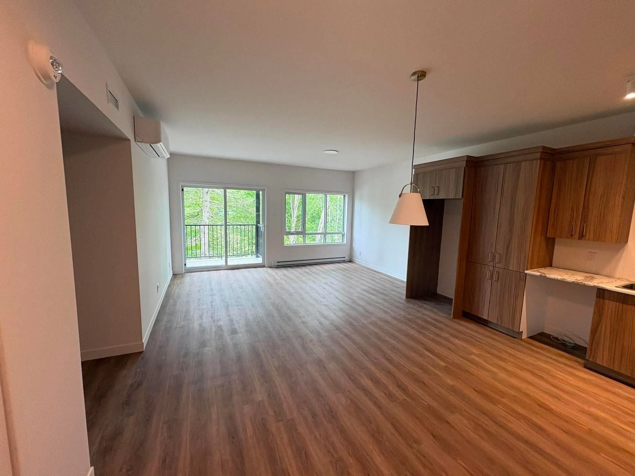 Aire de vie ouverte d'un logement : plancher de bois, porte-fenêtre sur le balcon et armoires de bois